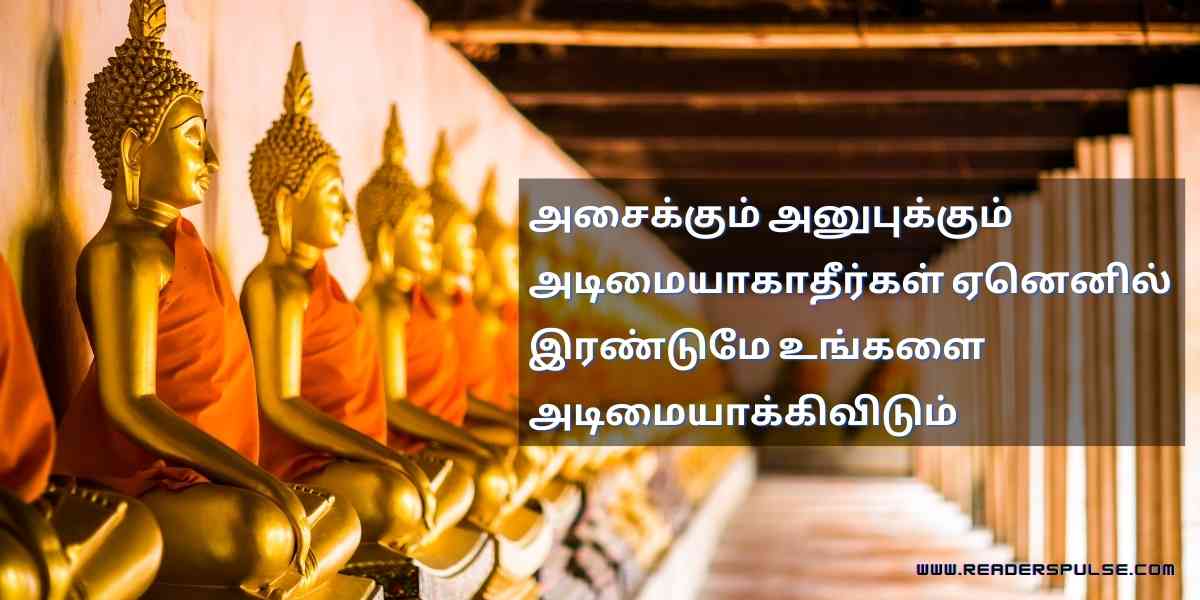 Buddha Quotes In Tamil